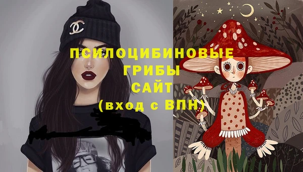 МДПВ Майский
