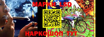 шишки Апшеронск