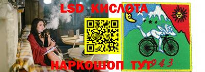 шишки Апшеронск