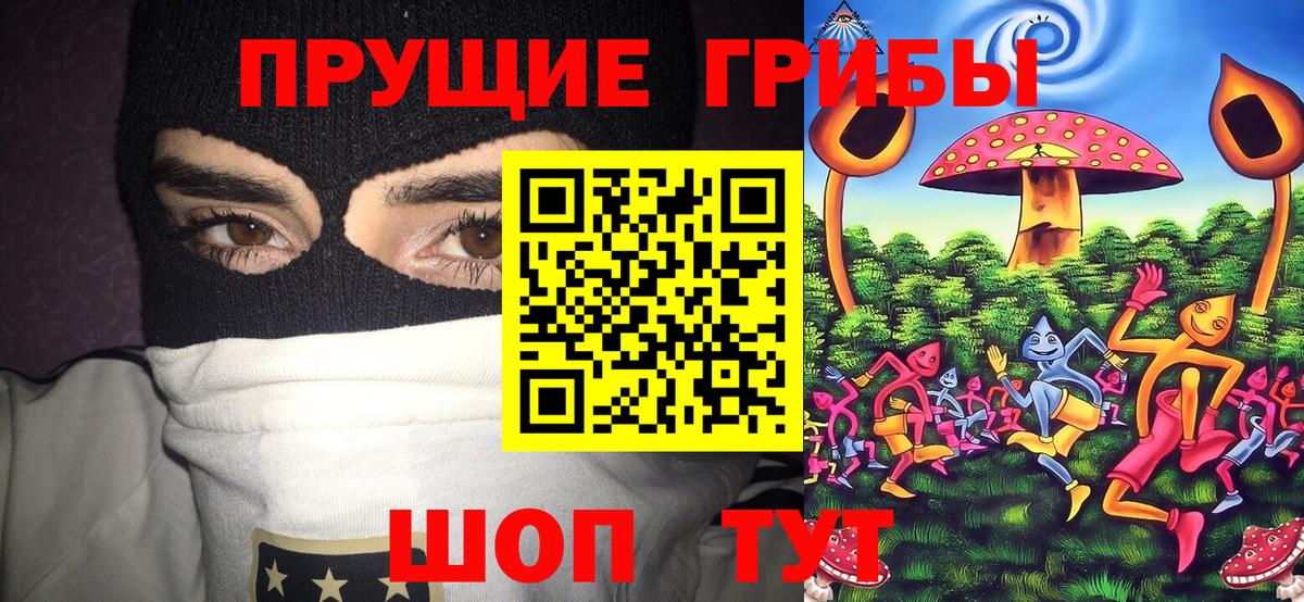 Галлюциногенные грибы Psilocybine cubensis Белая Калитва