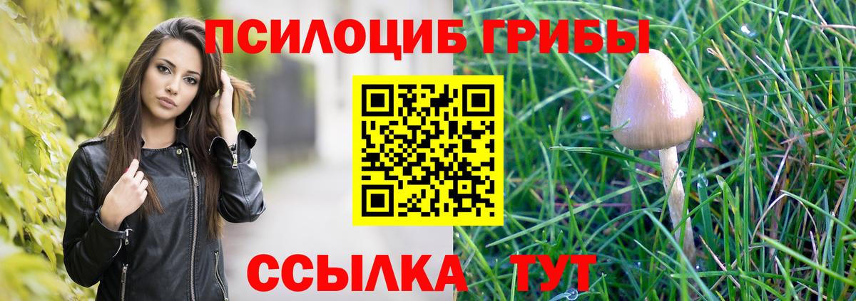 Псилоцибиновые грибы прущие грибы  Белая Калитва 