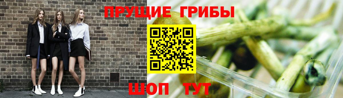 Белая Калитва  Галлюциногенные грибы Psilocybe  Вход с VPN 